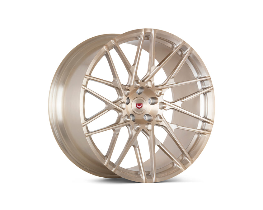 S17 in Motion