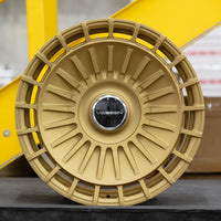 Vossen S21-12 - Satin Gold